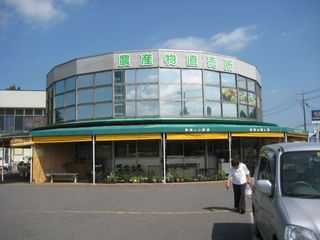 IMG_1265_R.JPG