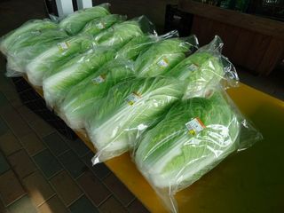 DSC01231-2.jpg
