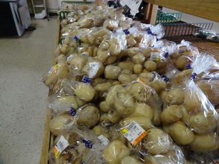 DSC01294-2.jpg