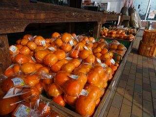 DSC01297-2.jpg