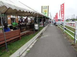 DSC01303-2.jpg