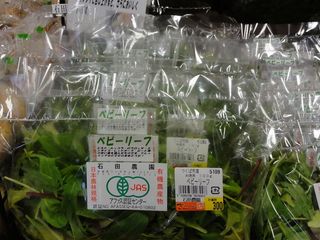 DSC01523-5.jpg