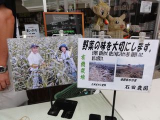 DSC01817-5.jpg