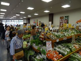 DSC01869-3.jpg