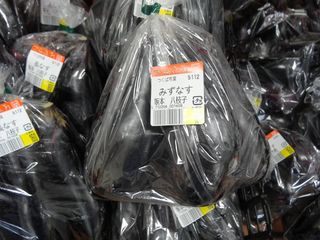 DSC02204-3.jpg