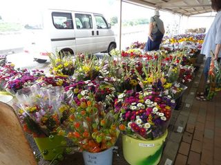 DSC02338-2.jpg