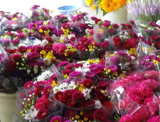 DSC02339-1.jpg