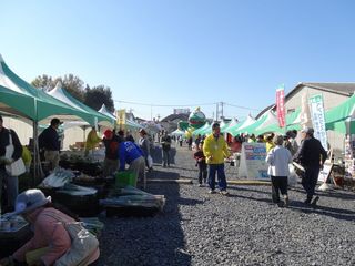 DSC05630-1110.jpg