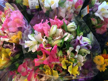 IMG_6467_M.JPG