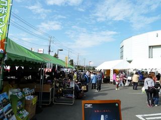 P1000203-k.jpg