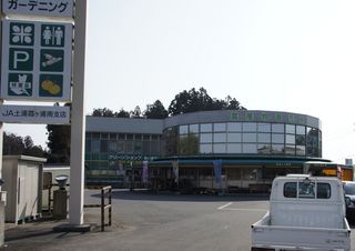 _DSC8118.jpg