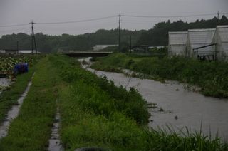 _IGP7887-922.jpg