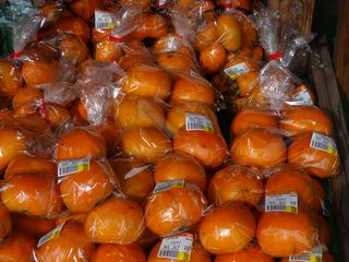 kaki01.jpg